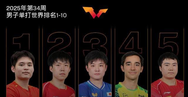 https, entit, 是孙颖莎和
