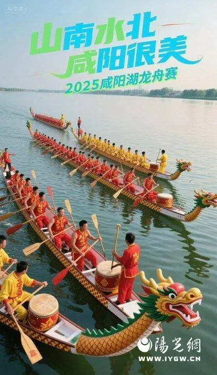 阳光讯, img, 本地组三大
